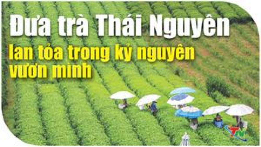 Đưa trà Thái Nguyên lan tỏa trong kỷ nguyên vươn mình