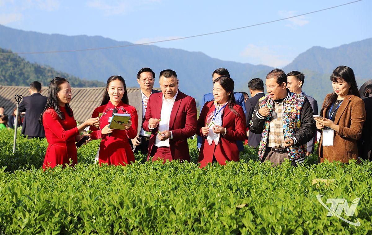 THƯỞNG TRÀ CÙNG NGƯỜI NỔI TIẾNG TẠI CÁC VÙNG CHÈ