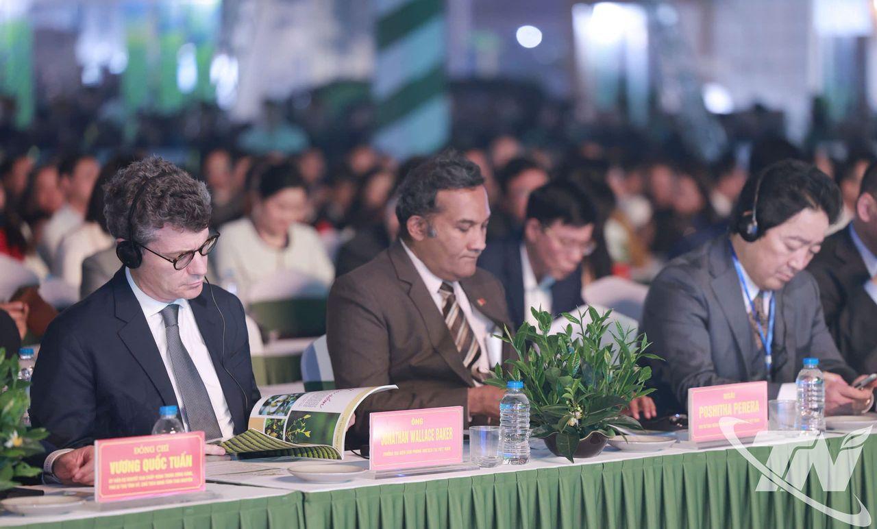 Tổ chức họp báo Quốc tế