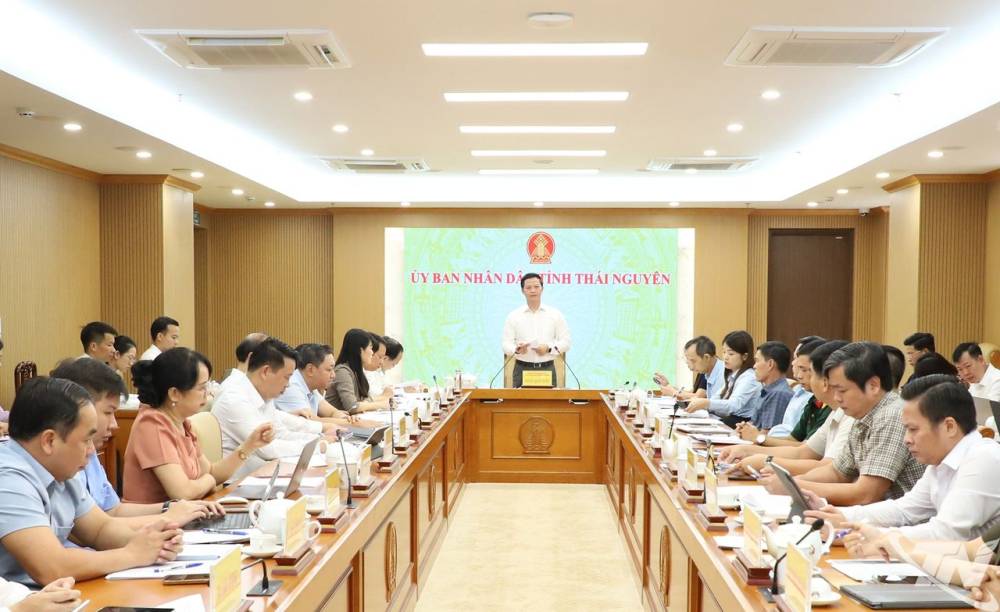 Festival Trà Thái Nguyên phải có điểm nhấn và tạo ấn tượng sâu sắc với du khách