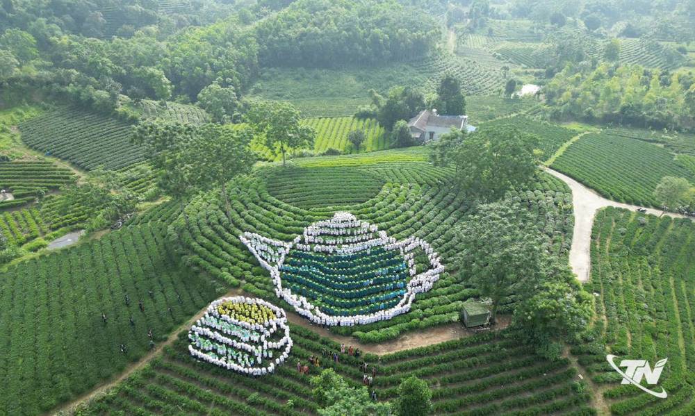 Chè Thái Nguyên trên hành trình số hóa
