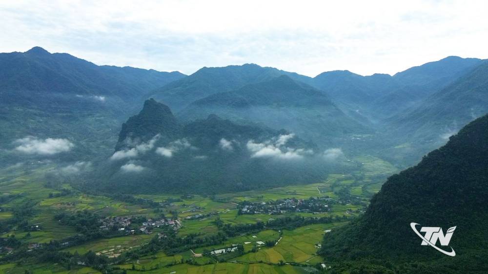 Đồng Phúc 'đánh thức' hương trà trong mây